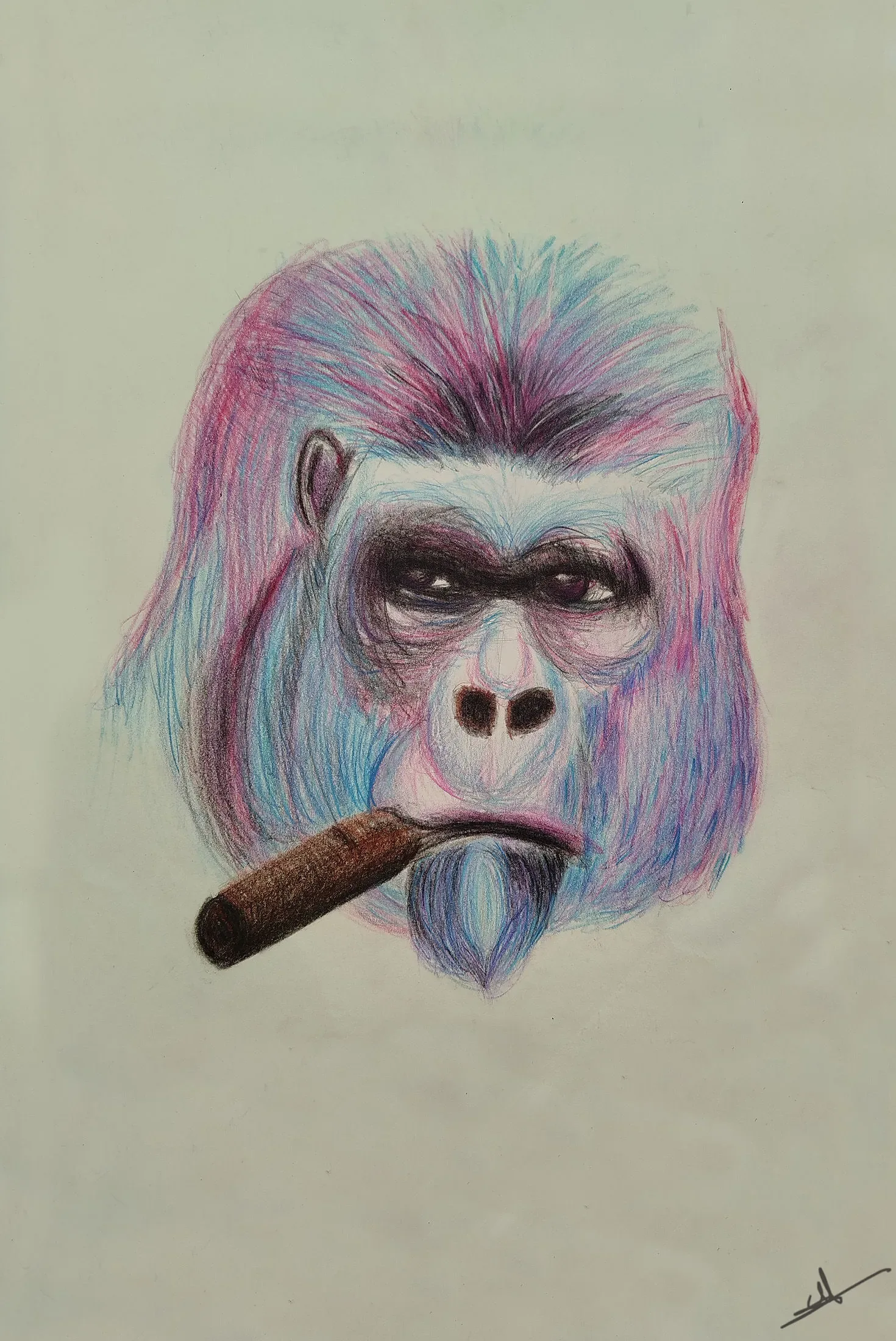 Gorille au cigare