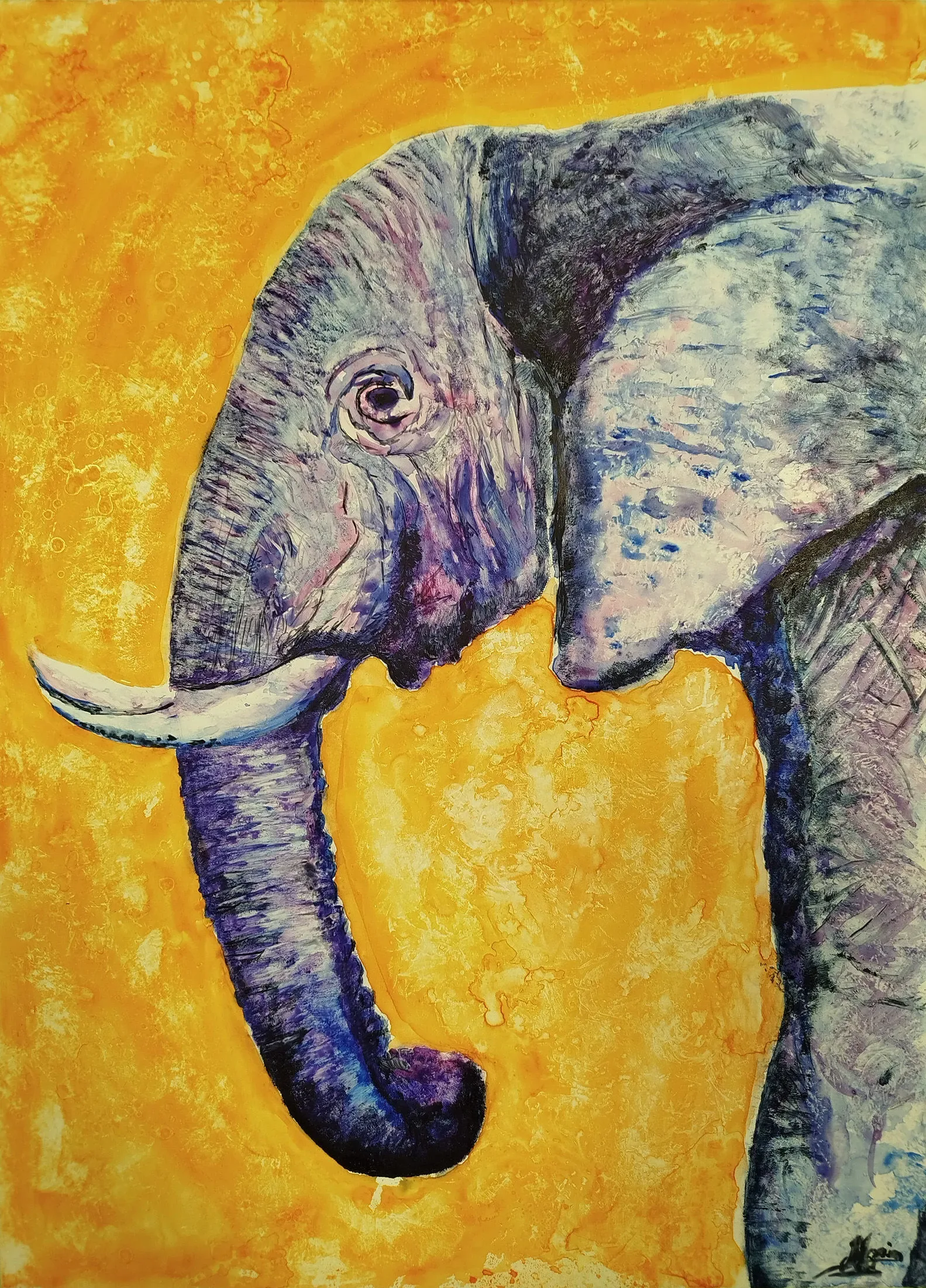 Colored Elephant