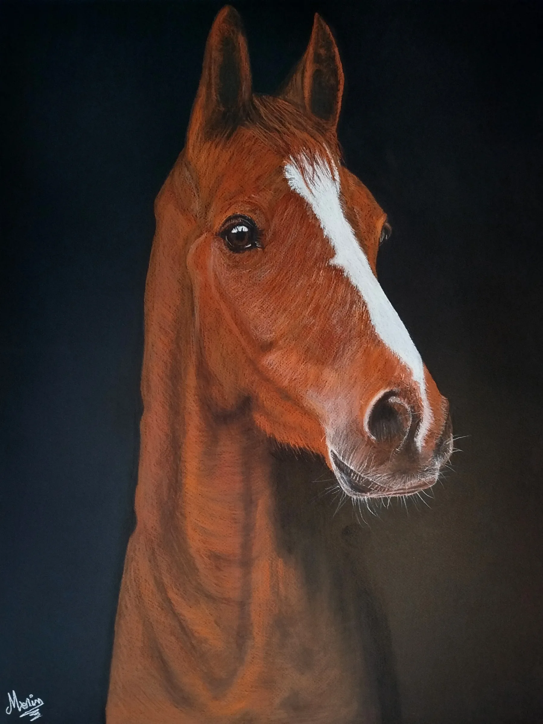 Dartagnan de Circée