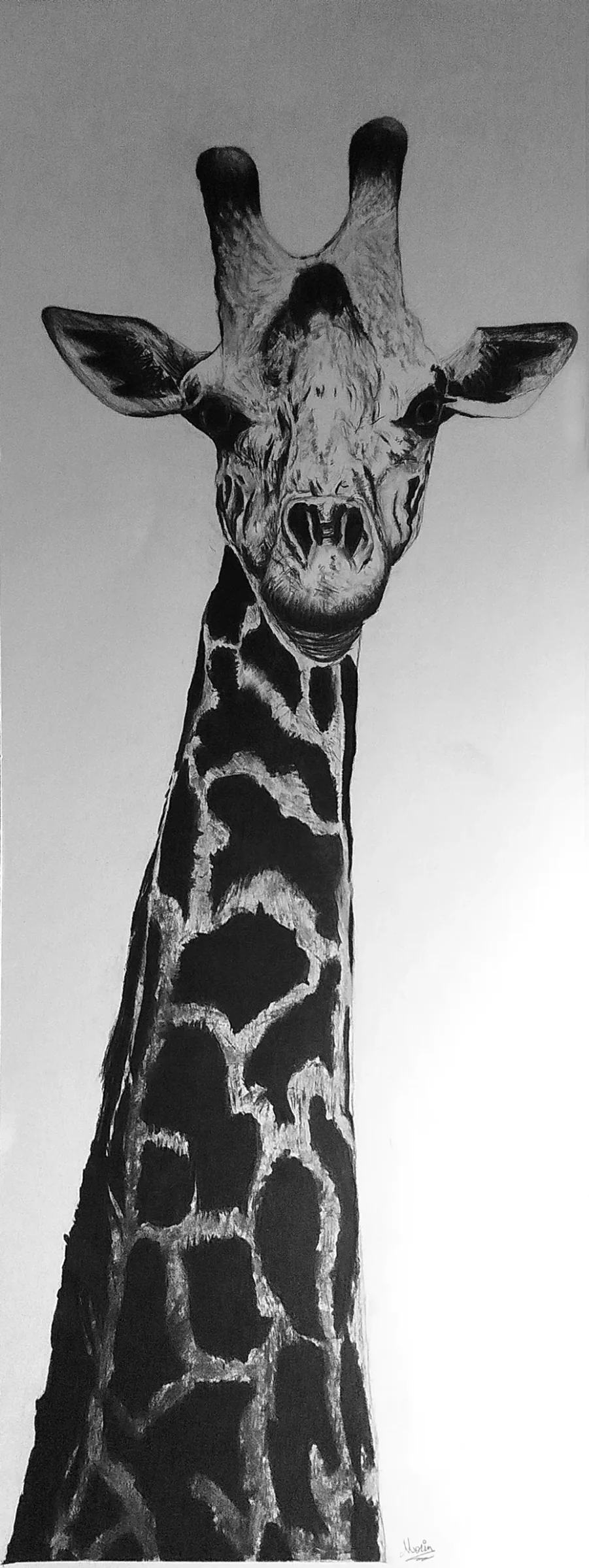 Girafe