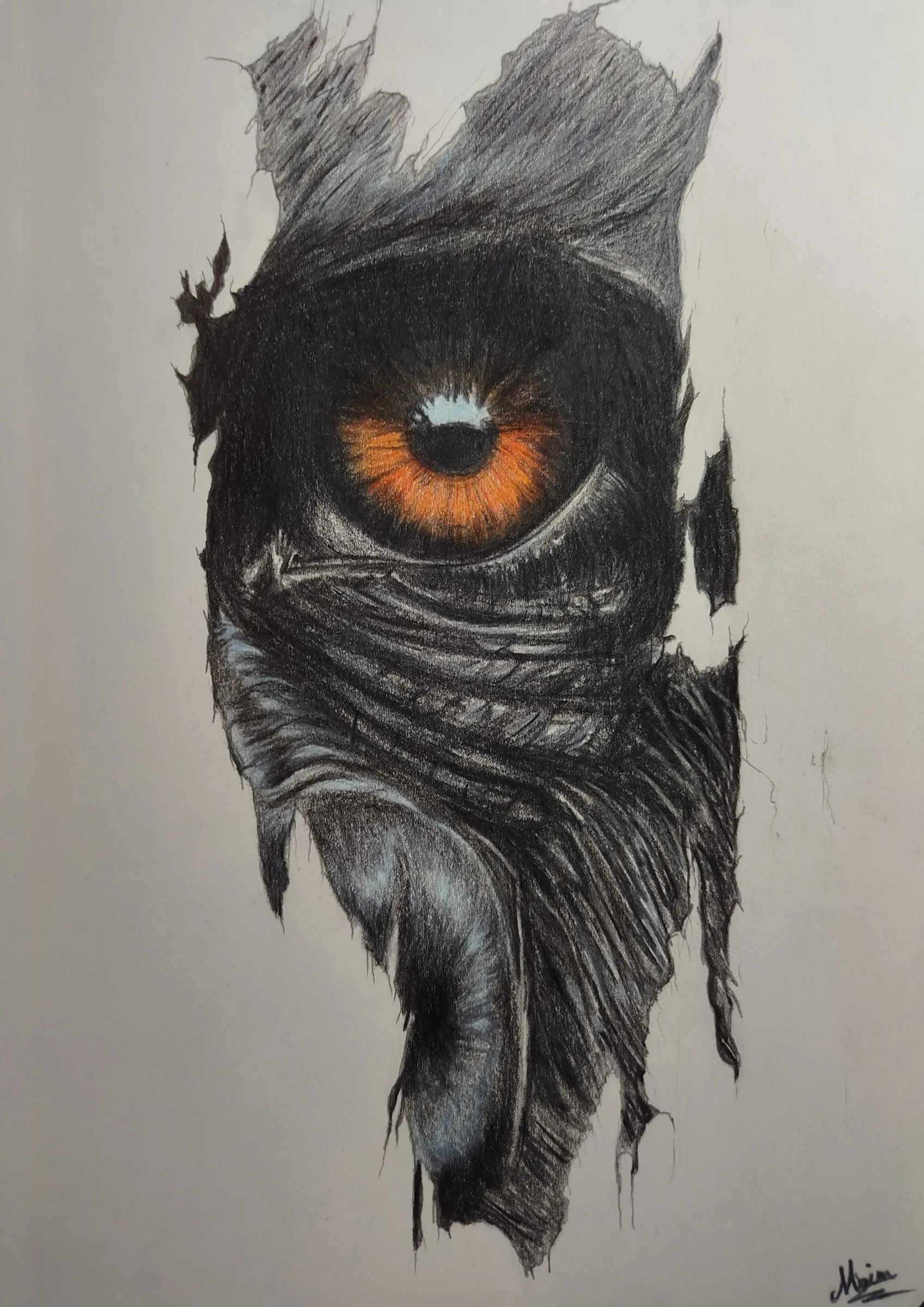Gorille N°02
