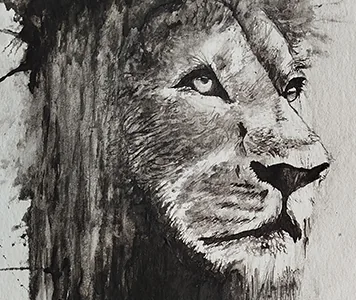 Not Just Animals — Série par Jérémy MORIN