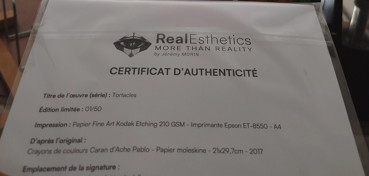 Certificat d'authenticité RealEsthetics fourni avec un tirage d'art limité